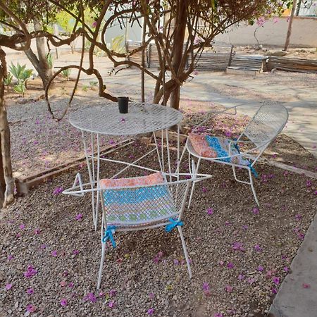 Oasis Shanti Backpackers Оудсхорн Екстериор снимка