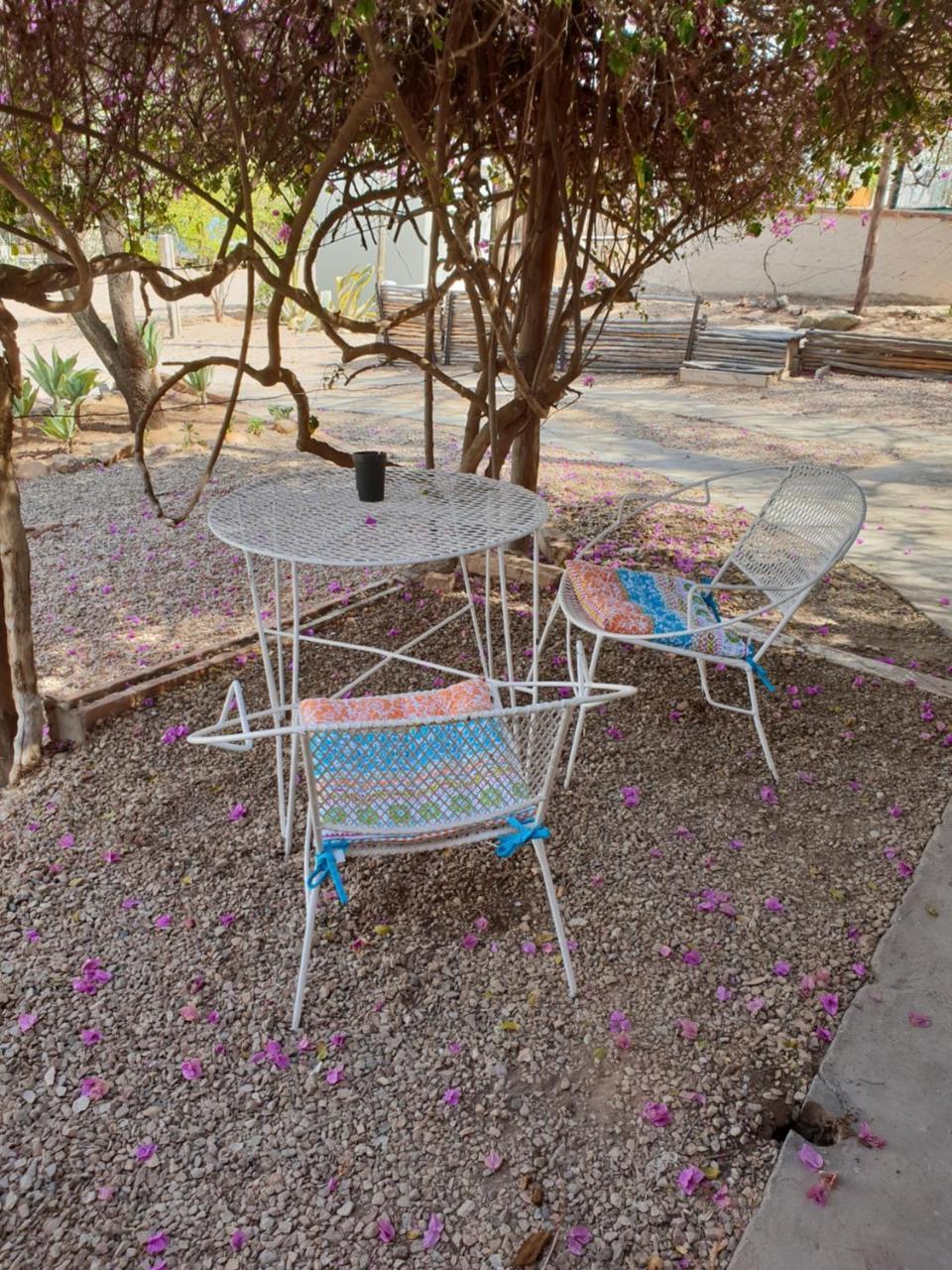 Oasis Shanti Backpackers Оудсхорн Екстериор снимка